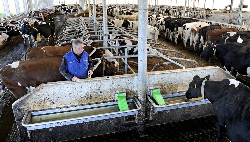 ‘Schoon drinkwater vee hoort bij duurzaam boeren’