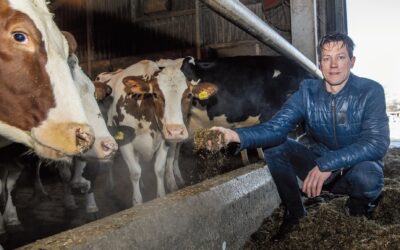 Melkveehouder Lennard Lamberts: ‘Vast energiecontract niet meer van deze tijd’